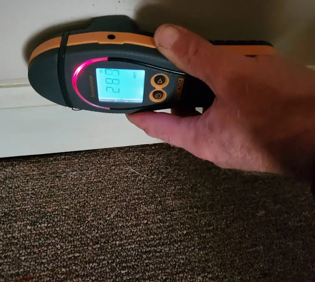 Moisture detection at baseboard during Mold Inspection & Testing in Maywood